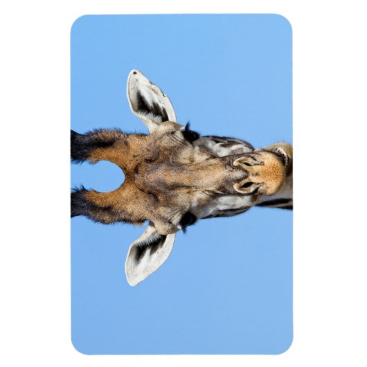 Giraffe Magneet (Verticaal)