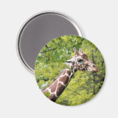 Giraffe Magnet (Voorkant / Achterkant)