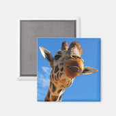 Giraffe Magnet (Voorkant / Achterkant)