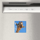 Giraffe Magnet (Insitu (Vaatwasser))