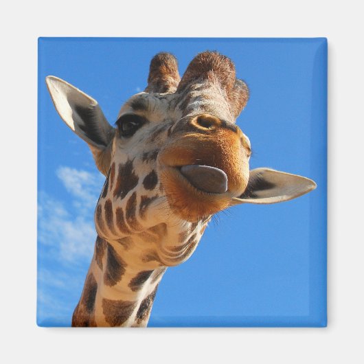 Giraffe Magnet (Voorkant)