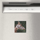 Giraffe Magnet (Insitu (Vaatwasser))