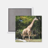 Giraffe Magnet (Voorkant / Achterkant)