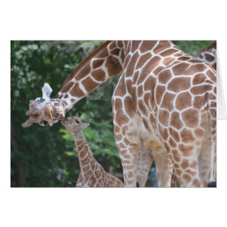 Giraffe Mam en Baby