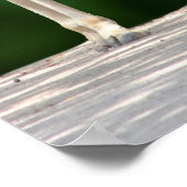 Giraffe Mam en Baby Poster (Hoek)