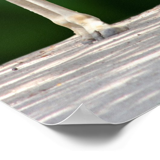 Giraffe Mam en Baby Poster (Hoek)