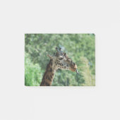 Giraffe met een lange tong post-it® notes (Voorkant)