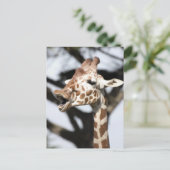 Giraffe met grappig gezicht, reticulated, San Fran Briefkaart (Staand voorkant)