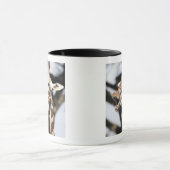 Giraffe met grappig gezicht, reticulated, San Fran Mok (Midden)