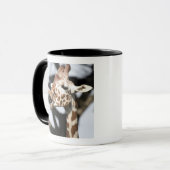 Giraffe met grappig gezicht, reticulated, San Fran Mok (Voorkant links)