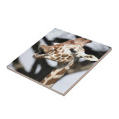 Giraffe met grappig gezicht, reticulated, San Fran Tegeltje (Zijkant)