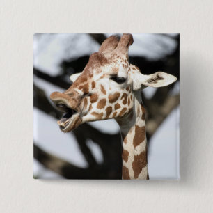 Giraffe met grappig gezicht, reticulated, San Fran Vierkante Button 5,1 Cm