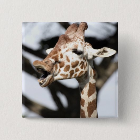 Giraffe met grappig gezicht, reticulated, San Fran Vierkante Button 5,1 Cm (Voorkant)