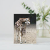 Giraffe met kind briefkaart (Staand voorkant)