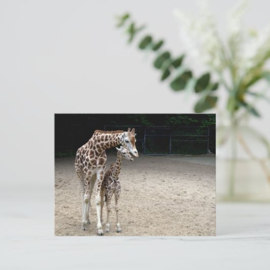 Giraffe met kind briefkaart (Staand voorkant)
