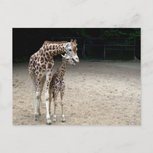Giraffe met kind briefkaart