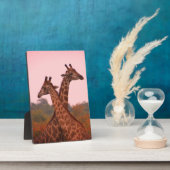 Giraffe met roze lucht en Mopani bomen Fotoplaat (Zijkant)