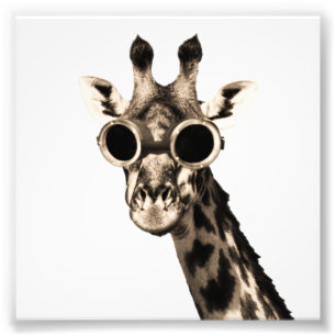 Giraffe met Steampunk zonnebrillen Foto Afdruk
