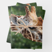 Giraffe met tongen uit inpakpapier vel (In situ)