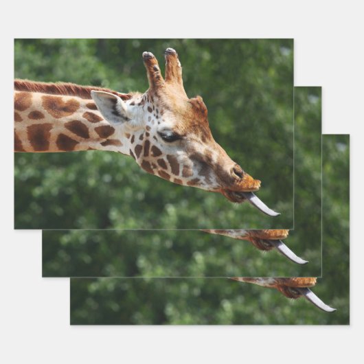 Giraffe met tongen uit inpakpapier vel (Set)