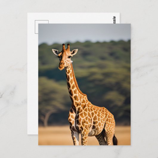 Giraffe met vaste tal briefkaart (Voorkant / Achterkant)