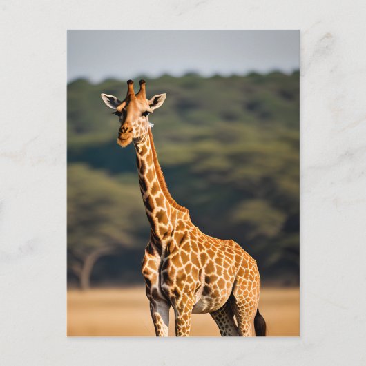 Giraffe met vaste tal briefkaart (Voorkant)