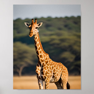 Giraffe met vaste tal poster