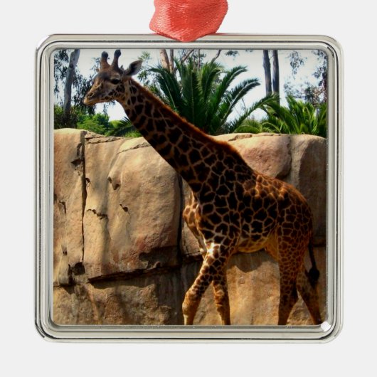 Giraffe Metalen Ornament (Voorkant)