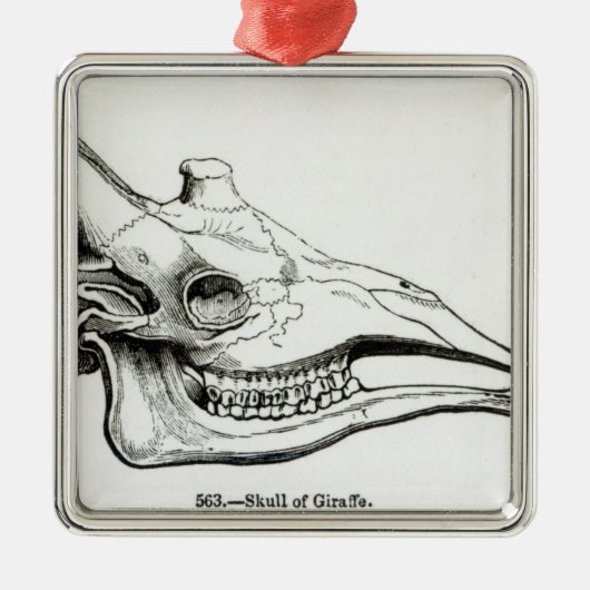Giraffe Metalen Ornament (Voorkant)