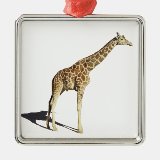 Giraffe Metalen Ornament (Voorkant)