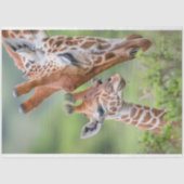 Giraffe Moeder Baby Grazing Decoupage Tissuepapier (Voorkant)