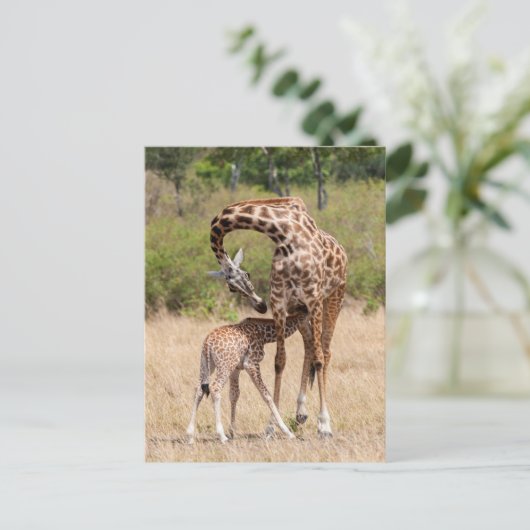 Giraffe moeder en Baby in Kenia Briefkaart (Staand voorkant)