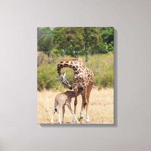 Giraffe-moeder en -baby in Kenia Canvas Afdruk (Voorkant)