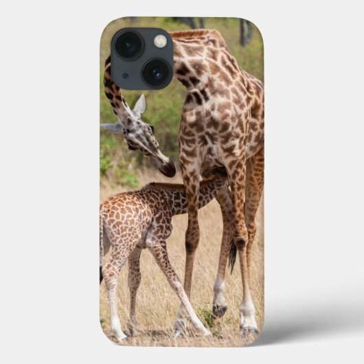 Giraffe moeder en Baby in Kenia Case-Mate iPhone Case (Achterkant)