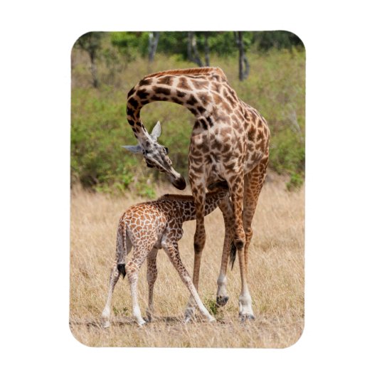 Giraffe moeder en Baby in Kenia Magneet (Verticaal)