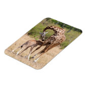 Giraffe moeder en Baby in Kenia Magneet (Linkerzijde)