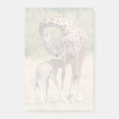 Giraffe moeder en Baby in Kenia Post-it® Notes (Voorkant)