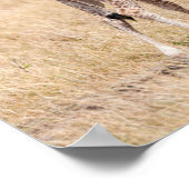 Giraffe moeder en Baby in Kenia Poster (Hoek)