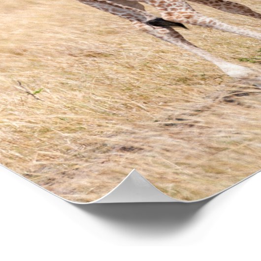 Giraffe moeder en Baby in Kenia Poster (Hoek)