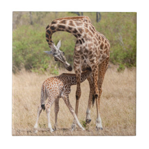 Giraffe moeder en Baby in Kenia Tegeltje