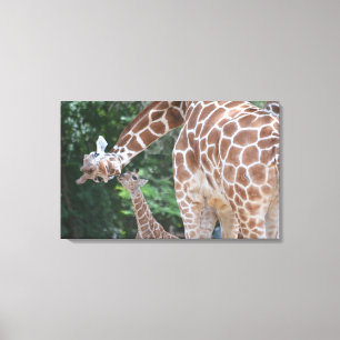 Giraffe moeder en baby Poster Canvas Afdruk