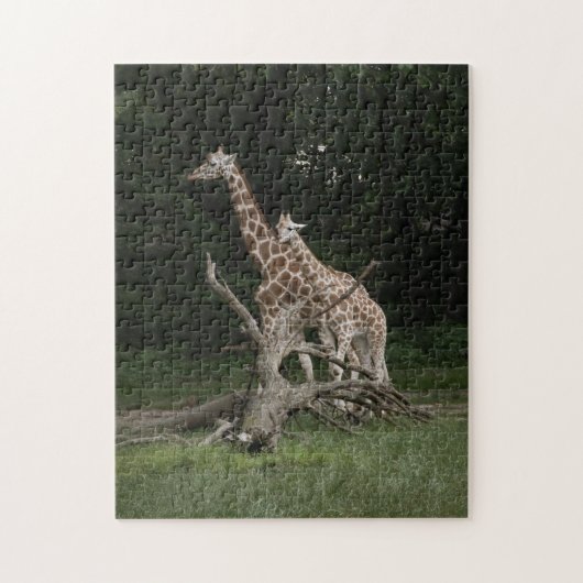 Giraffe Moeder en Calf puzzel (Verticaal)