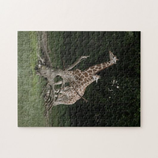 Giraffe Moeder en Calf puzzel Legpuzzel (Horizontaal)