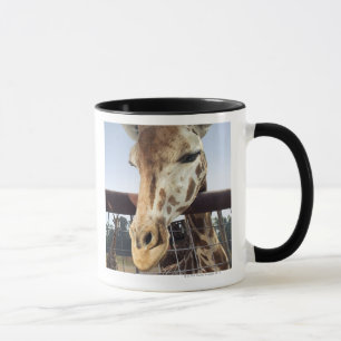 Giraffe Mok