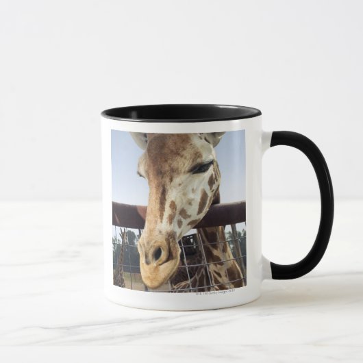 Giraffe Mok (Rechts)