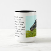 Giraffe Mok (Midden)