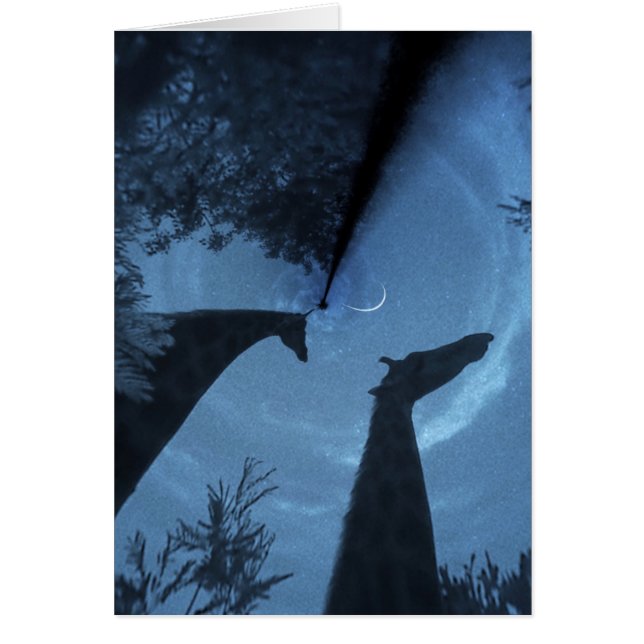 Giraffe Moon (Voorkant)