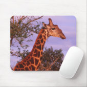 Giraffe Mousepad Muismat (Met muis)
