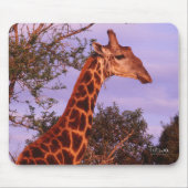 Giraffe Mousepad Muismat (Voorkant)