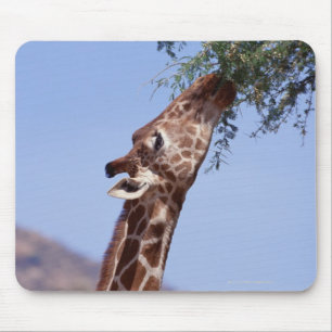Giraffe Muismat